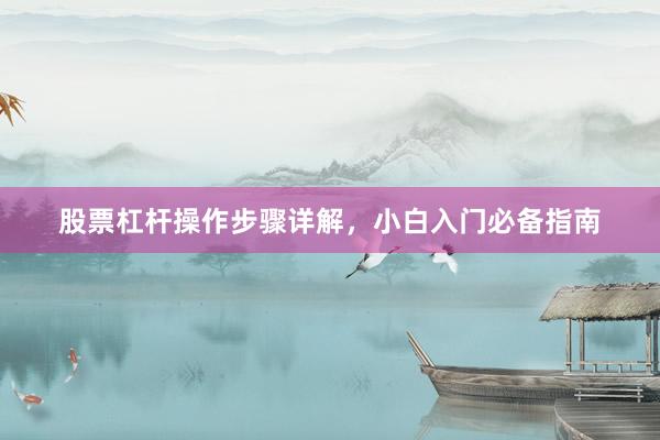股票杠杆操作步骤详解，小白入门必备指南