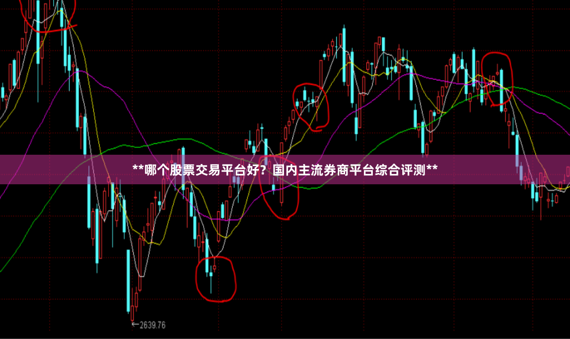 **哪个股票交易平台好？国内主流券商平台综合评测**