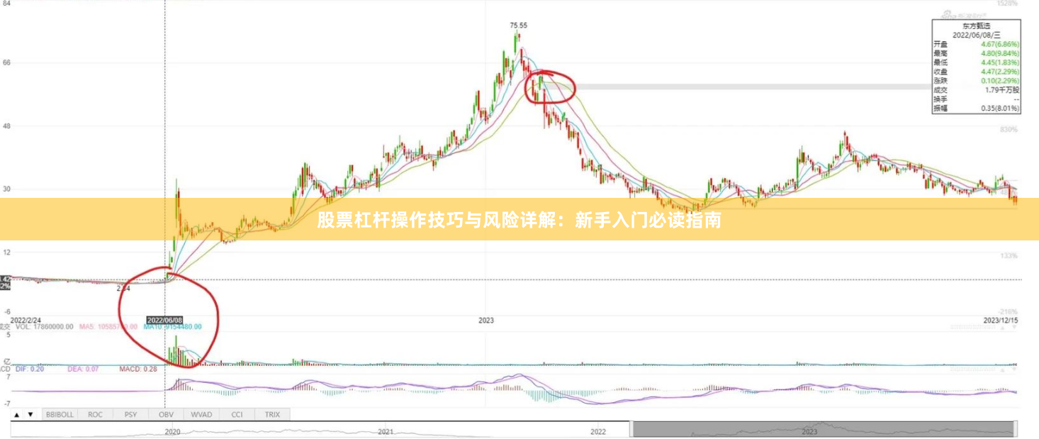 股票杠杆操作技巧与风险详解：新手入门必读指南